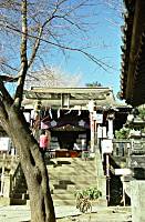 SUWA-shrine